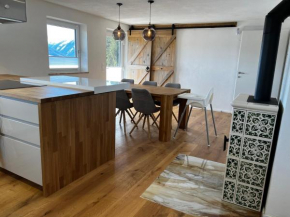 Haus Bergfeld with the view over Dachstein